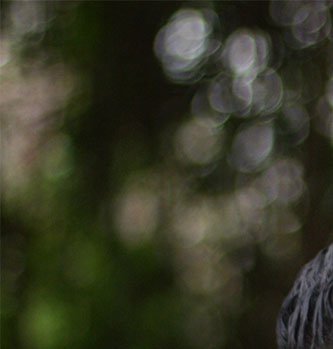 FREE TOP LISTING AGENT TRAINING PODCAST